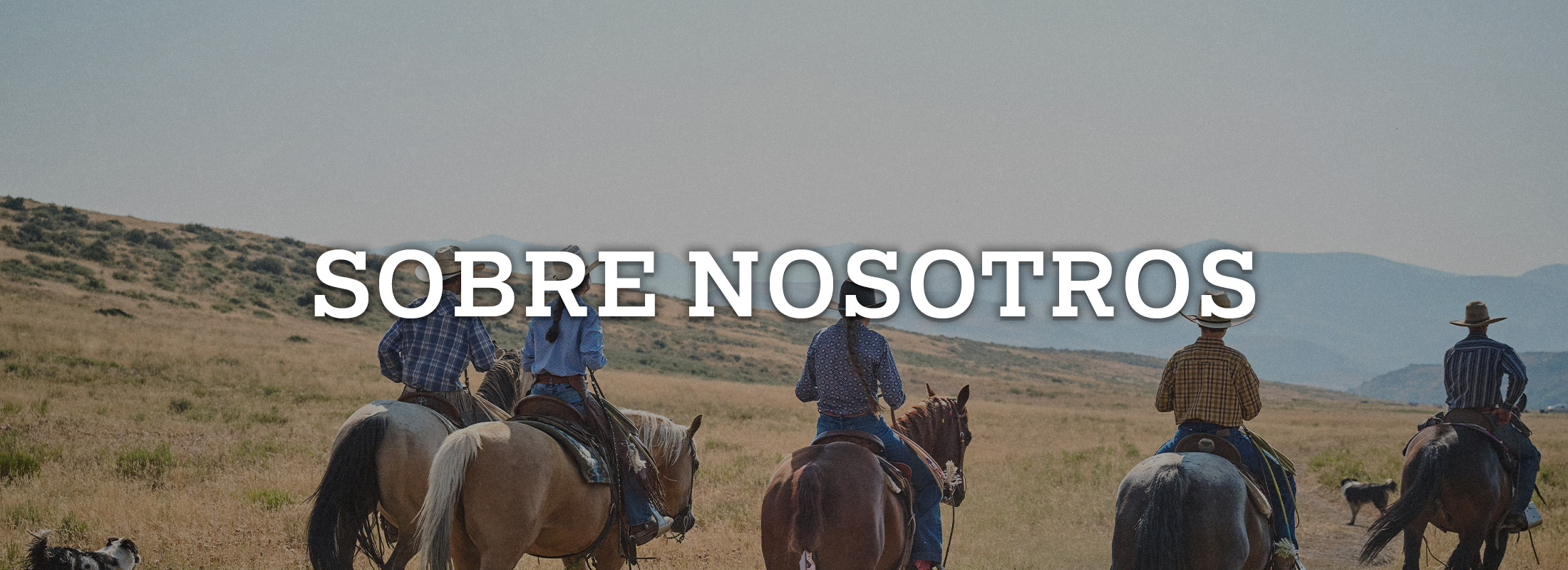 Sobre nostoros. Vaqueros montados a caballo.